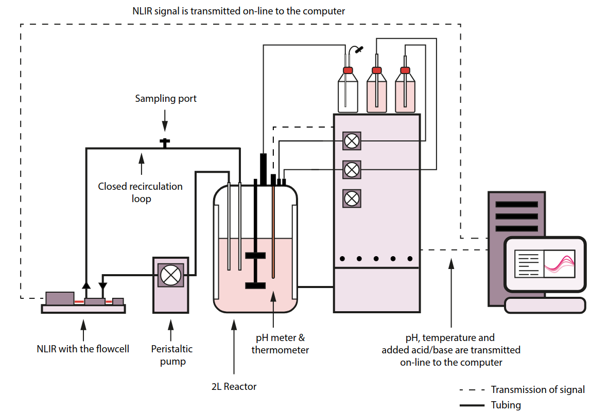 Fermentation setup